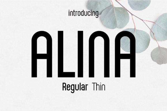 Alina Font: A Minimalist Sans Serif for Modern Branding and Crafts