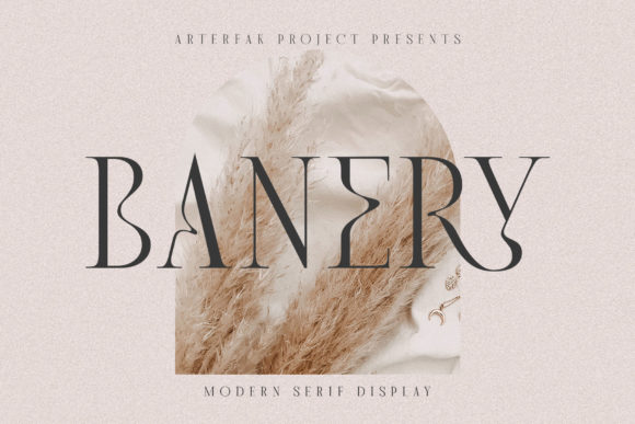 Banery Typeface: A Modern Serif for Handmade Branding