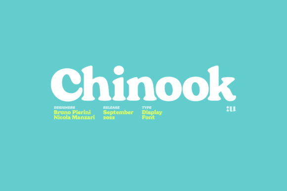 Chinook: A Chunky Serif Font for Vintage Brand Identity