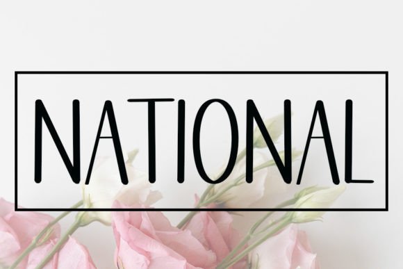 National Font: The Elegant Handwritten Choice for Campaign Design
