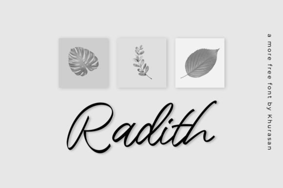 Radith: The Modern Script Font for Polished Brand Visuals