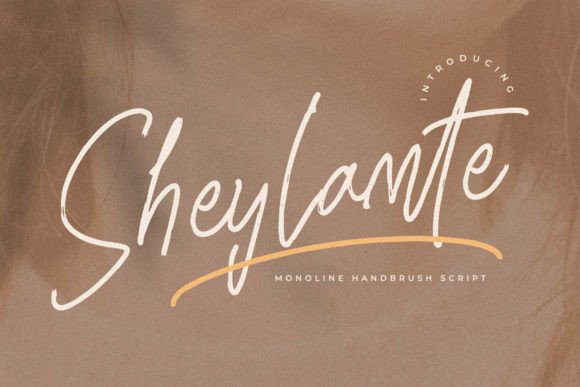 Sheylamte Monoline Handbrush Script Font Review