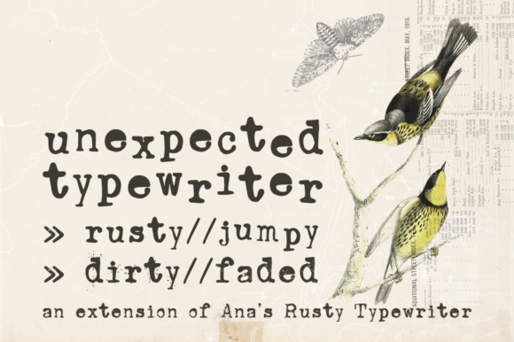 Unexpected Typewriter: A Serif Font for Authentic Campaign Storytelling